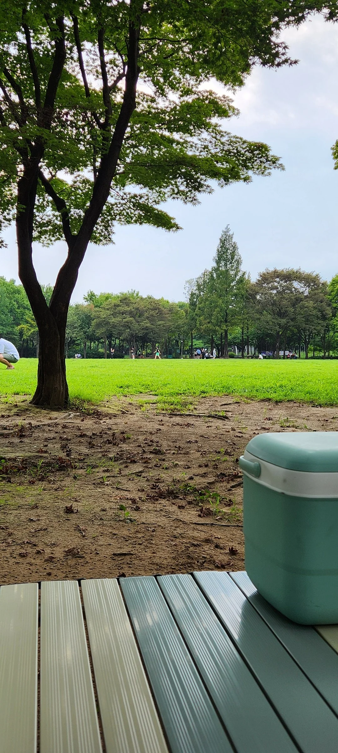 Transform your phone with the inviting green spaces of Korea's parks and gardens. From the sprawling lawns of Olympic Park in Seoul to the meticulously landscaped botanical gardens of the southern coast, these wallpapers capture the beauty of Korea's curated natural spaces — blooming flower beds, reflective lotus ponds, tree-lined promenades, and autumn foliage canopies.

Korean parks are designed for contemplation, and it shows in every image: stone pathways curving around still water, wooden pavilions framed by seasonal color, cherry-blossom tunnels creating pink corridors, and wide meadows where families gather under open skies. Free download these aesthetic park wallpapers and give your phone background the refreshing energy of a Korean garden escape., Seoulsup 2-gil, Seongsu 1(il)-ga 1(il)-dong, Seoul — Free Korean aesthetic wallpaper