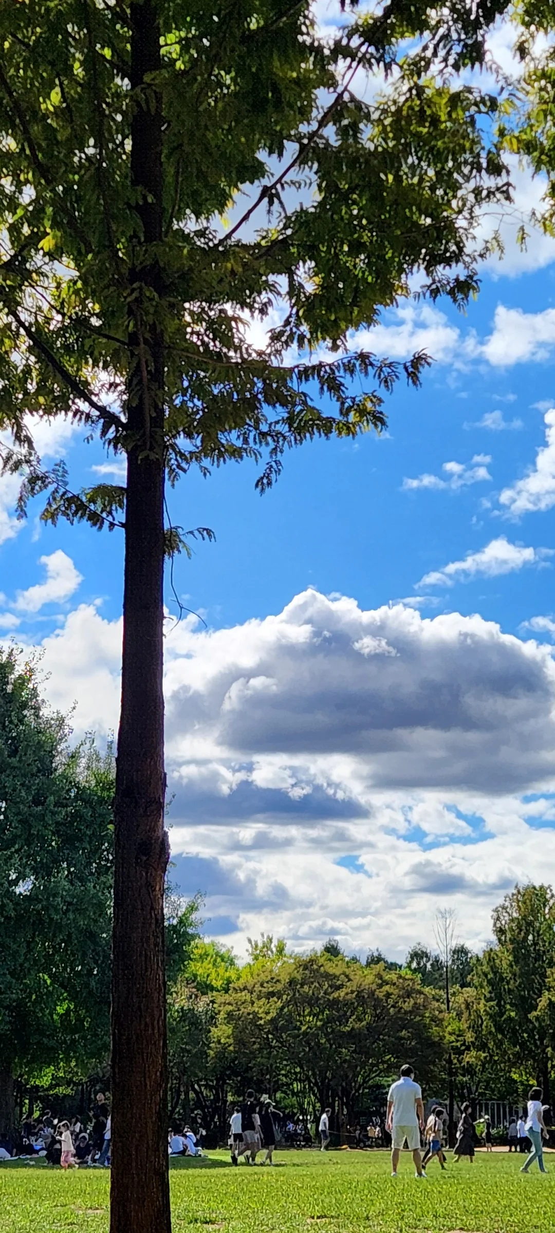 Immerse your screen in the untouched beauty of Korea's natural world. These Korean wallpapers feature sweeping countryside fields blanketed in green, hidden valleys where morning mist clings to the hillsides, and winding streams cutting through rocky terrain. Each photo captures the raw, peaceful energy that makes Korea's landscapes so distinctive.

From the volcanic plains of Jeju Island to the lush wetlands of Suncheon Bay, this collection showcases nature in every mood — dramatic storm clouds rolling over ridgelines, golden sunlight filtering through canopy gaps, and wildflower meadows stretching toward distant peaks. Download these aesthetic phone backgrounds for free and bring a moment of Korean tranquility to your daily life., Seoulsup 2-gil, Seongsu 1(il)-ga 1(il)-dong, Seoul — Free Korean aesthetic wallpaper