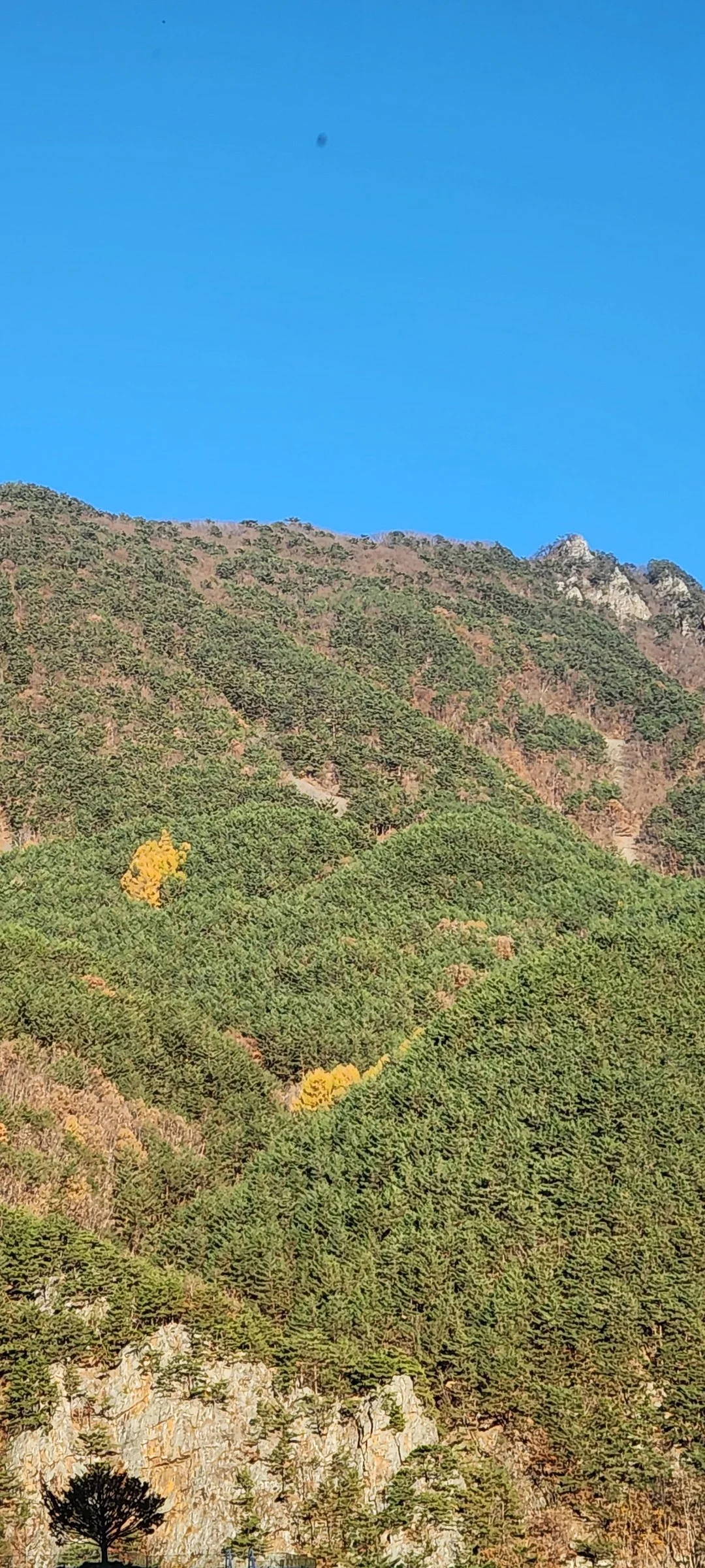 Immerse your screen in the untouched beauty of Korea's natural world. These Korean wallpapers feature sweeping countryside fields blanketed in green, hidden valleys where morning mist clings to the hillsides, and winding streams cutting through rocky terrain. Each photo captures the raw, peaceful energy that makes Korea's landscapes so distinctive.

From the volcanic plains of Jeju Island to the lush wetlands of Suncheon Bay, this collection showcases nature in every mood — dramatic storm clouds rolling over ridgelines, golden sunlight filtering through canopy gaps, and wildflower meadows stretching toward distant peaks. Download these aesthetic phone backgrounds for free and bring a moment of Korean tranquility to your daily life., Bukpyeong-myeon — Free Korean aesthetic wallpaper