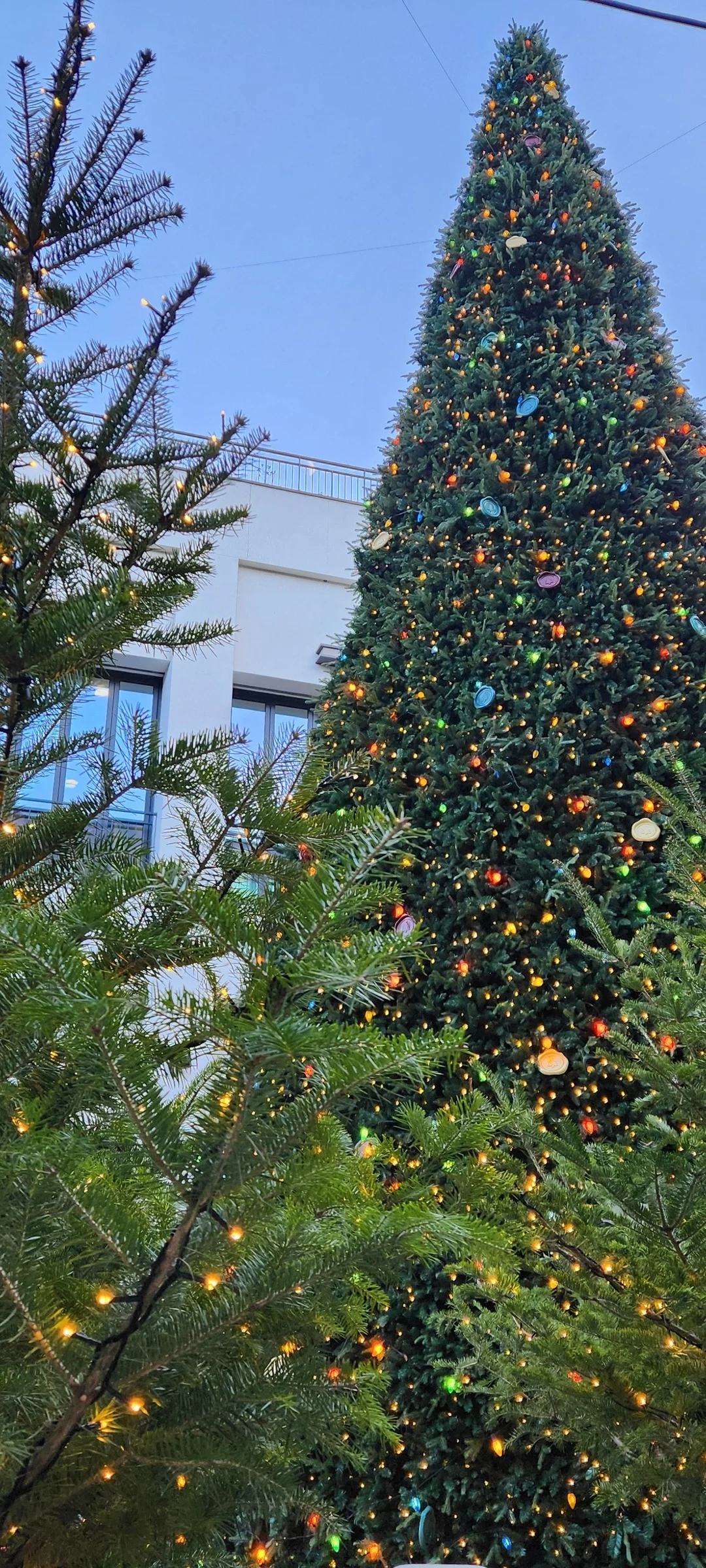 Experience the vibrant pulse of Korean city life through these dynamic street wallpapers. Bustling crosswalks in Myeongdong, colorful shop fronts in Hongdae, rain-slicked sidewalks reflecting neon signs, and everyday moments of commuters, street vendors, and cyclists moving through Seoul's urban rhythm — each image tells a story of a city constantly in motion.

Beyond Seoul, you'll find the charming streetscapes of Busan's hillside neighborhoods, the retro storefronts of Jeonju, and quiet residential lanes where laundry dries on balconies above parked scooters. These free Korean street wallpapers are perfect as an aesthetic phone background for anyone captivated by the raw energy and visual richness of Korean urban culture., Songdo 3(sam)-dong, Incheon — Free Korean aesthetic wallpaper