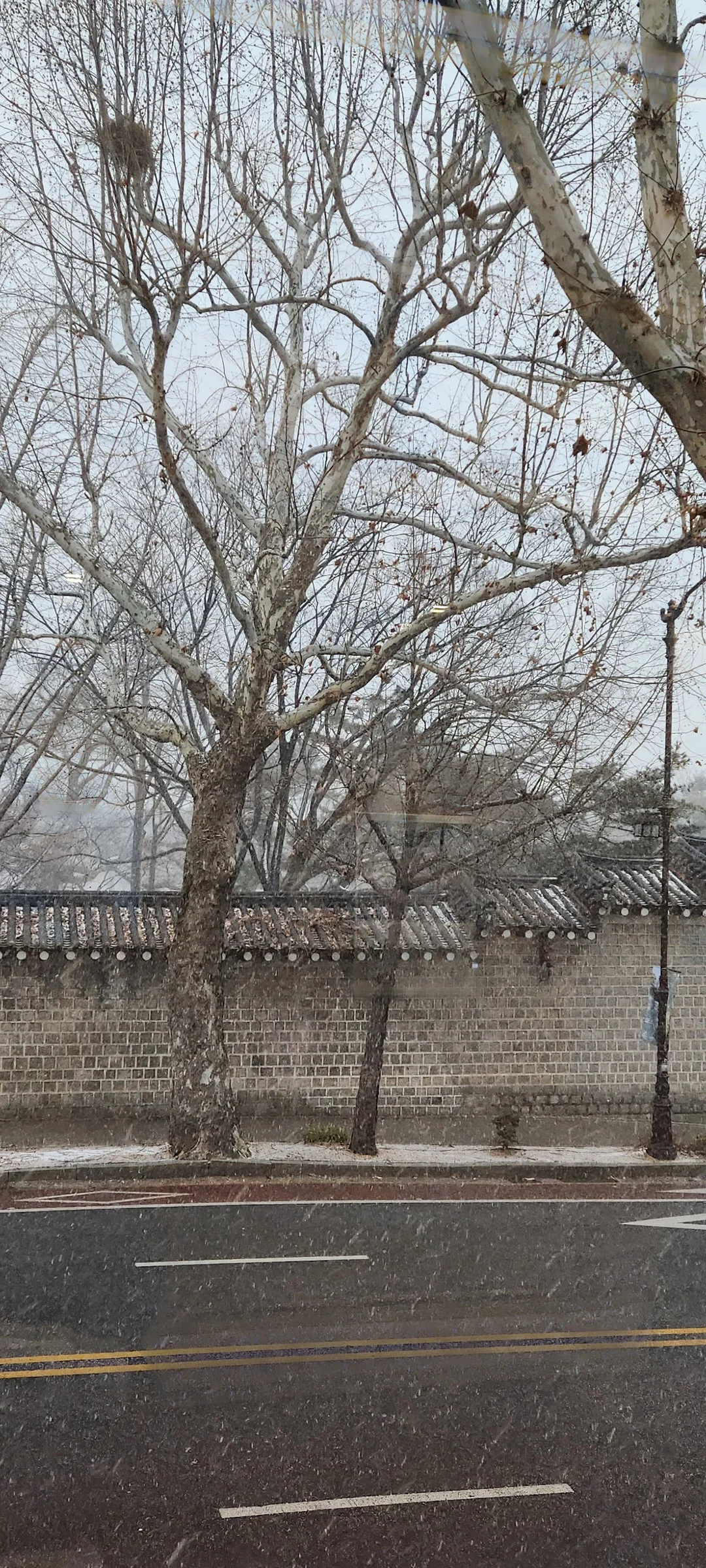 Experience the vibrant pulse of Korean city life through these dynamic street wallpapers. Bustling crosswalks in Myeongdong, colorful shop fronts in Hongdae, rain-slicked sidewalks reflecting neon signs, and everyday moments of commuters, street vendors, and cyclists moving through Seoul's urban rhythm — each image tells a story of a city constantly in motion.

Beyond Seoul, you'll find the charming streetscapes of Busan's hillside neighborhoods, the retro storefronts of Jeonju, and quiet residential lanes where laundry dries on balconies above parked scooters. These free Korean street wallpapers are perfect as an aesthetic phone background for anyone captivated by the raw energy and visual richness of Korean urban culture., Hyoja-ro, Sajik-dong, Seoul — Free Korean aesthetic wallpaper