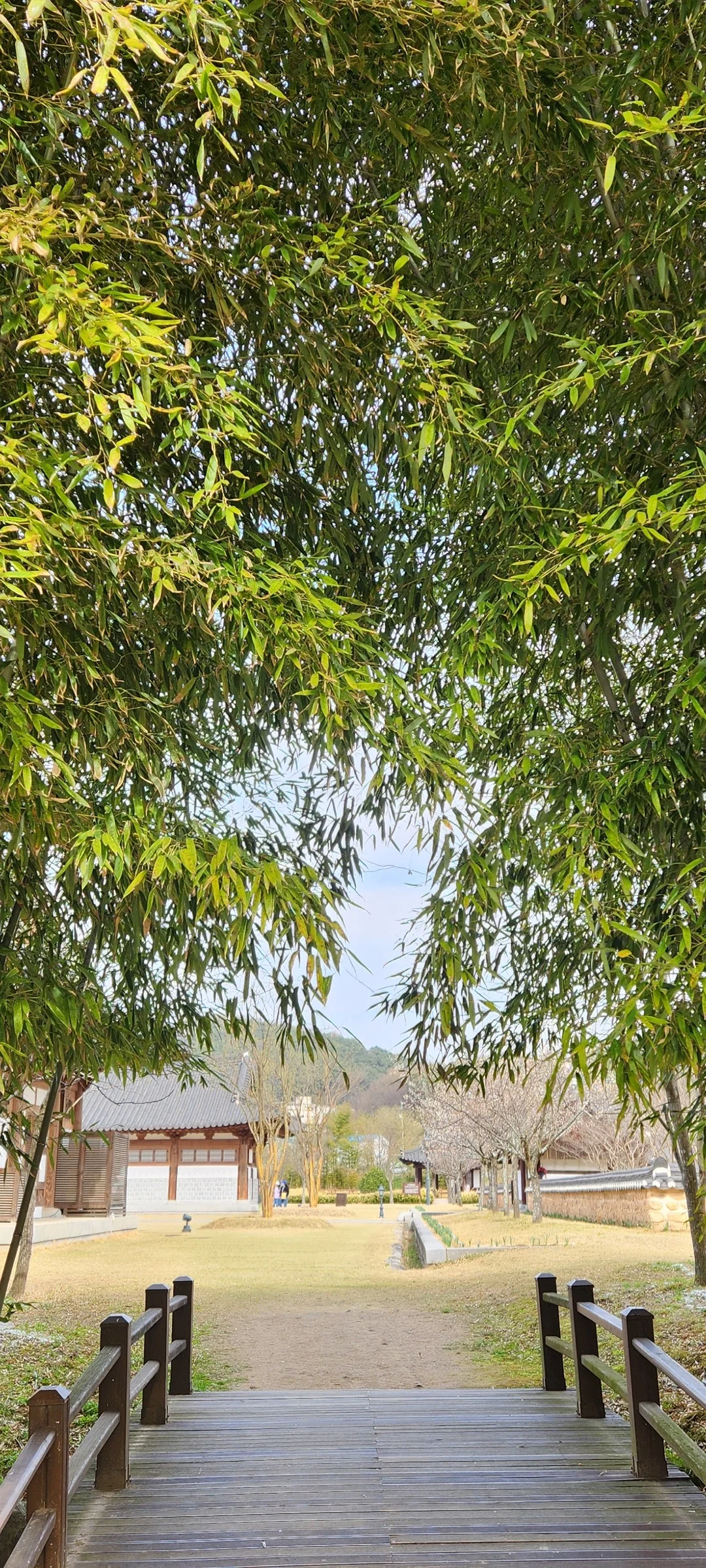 Immerse your screen in the untouched beauty of Korea's natural world. These Korean wallpapers feature sweeping countryside fields blanketed in green, hidden valleys where morning mist clings to the hillsides, and winding streams cutting through rocky terrain. Each photo captures the raw, peaceful energy that makes Korea's landscapes so distinctive.

From the volcanic plains of Jeju Island to the lush wetlands of Suncheon Bay, this collection showcases nature in every mood — dramatic storm clouds rolling over ridgelines, golden sunlight filtering through canopy gaps, and wildflower meadows stretching toward distant peaks. Download these aesthetic phone backgrounds for free and bring a moment of Korean tranquility to your daily life., Jukhyangmunhwa-ro, Damyang-gun — Free Korean aesthetic wallpaper