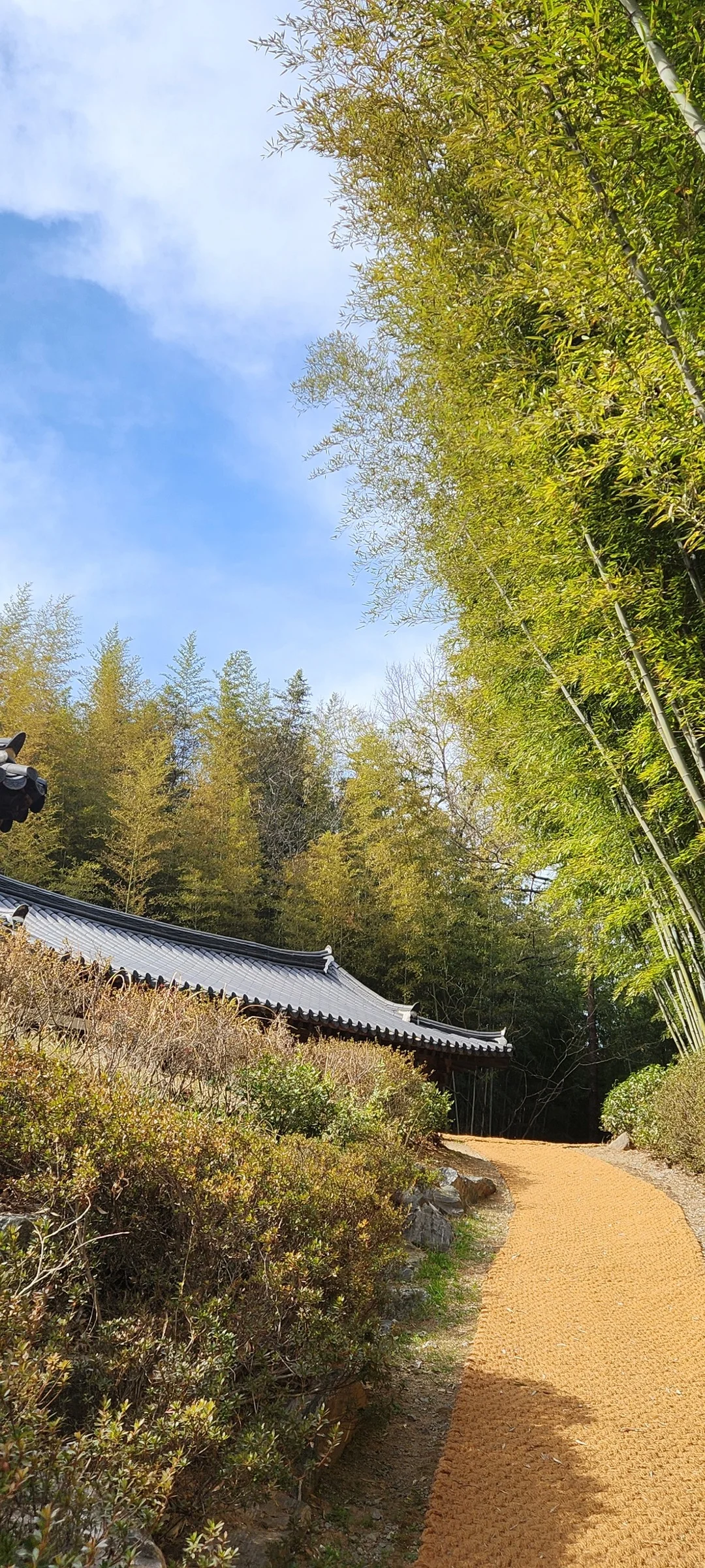 Experience the vibrant pulse of Korean city life through these dynamic street wallpapers. Bustling crosswalks in Myeongdong, colorful shop fronts in Hongdae, rain-slicked sidewalks reflecting neon signs, and everyday moments of commuters, street vendors, and cyclists moving through Seoul's urban rhythm — each image tells a story of a city constantly in motion.

Beyond Seoul, you'll find the charming streetscapes of Busan's hillside neighborhoods, the retro storefronts of Jeonju, and quiet residential lanes where laundry dries on balconies above parked scooters. These free Korean street wallpapers are perfect as an aesthetic phone background for anyone captivated by the raw energy and visual richness of Korean urban culture., 죽향문화로, Damyang-gun — Free Korean aesthetic wallpaper