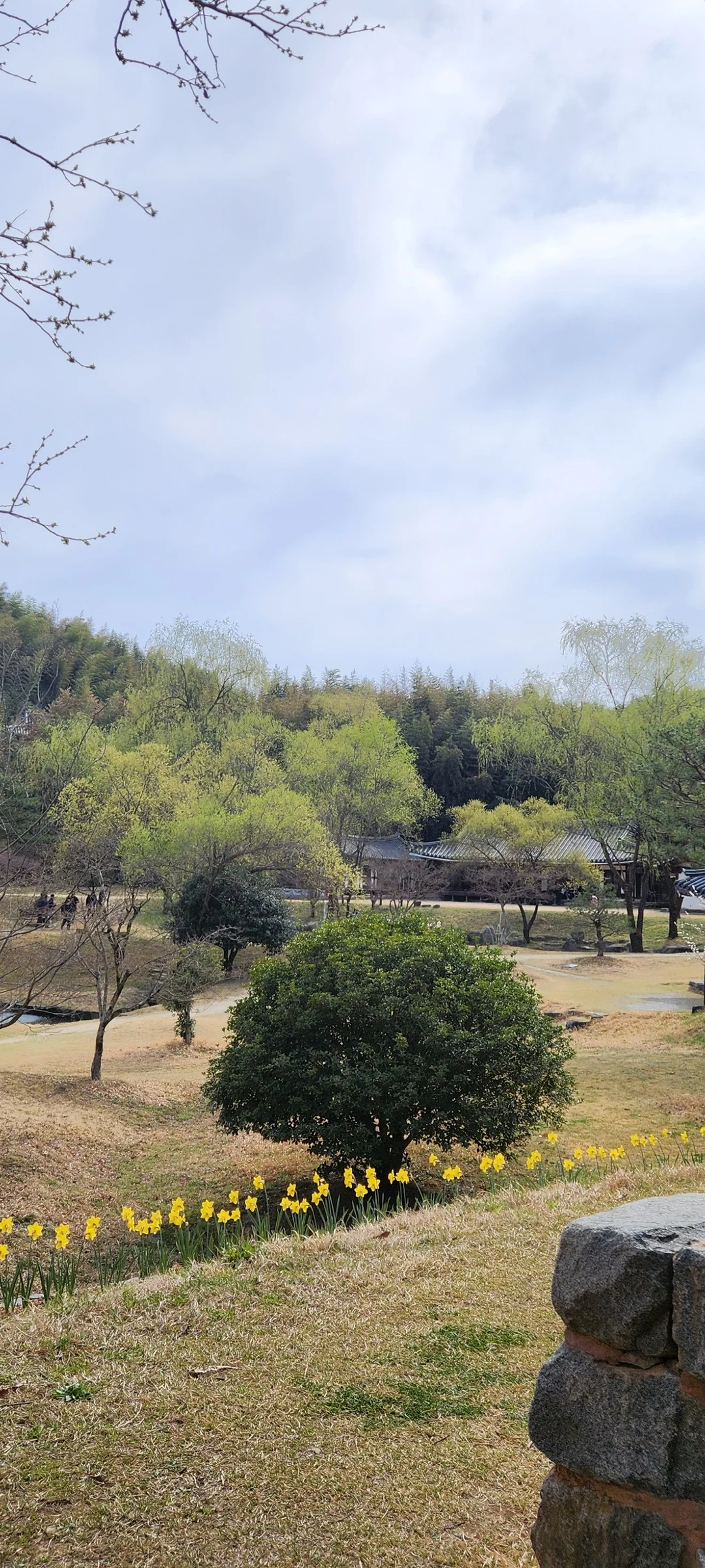 Immerse your screen in the untouched beauty of Korea's natural world. These Korean wallpapers feature sweeping countryside fields blanketed in green, hidden valleys where morning mist clings to the hillsides, and winding streams cutting through rocky terrain. Each photo captures the raw, peaceful energy that makes Korea's landscapes so distinctive.

From the volcanic plains of Jeju Island to the lush wetlands of Suncheon Bay, this collection showcases nature in every mood — dramatic storm clouds rolling over ridgelines, golden sunlight filtering through canopy gaps, and wildflower meadows stretching toward distant peaks. Download these aesthetic phone backgrounds for free and bring a moment of Korean tranquility to your daily life., Jukhyangmunhwa-ro, Damyang-gun — Free Korean aesthetic wallpaper