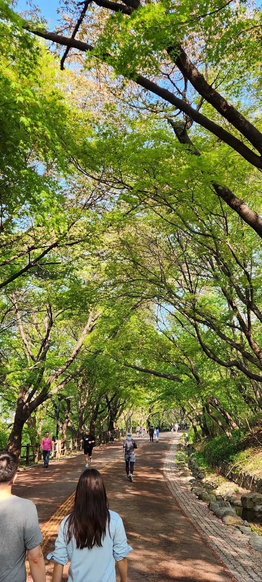 Transform your phone with the inviting green spaces of Korea's parks and gardens. From the sprawling lawns of Olympic Park in Seoul to the meticulously landscaped botanical gardens of the southern coast, these wallpapers capture the beauty of Korea's curated natural spaces — blooming flower beds, reflective lotus ponds, tree-lined promenades, and autumn foliage canopies.

Korean parks are designed for contemplation, and it shows in every image: stone pathways curving around still water, wooden pavilions framed by seasonal color, cherry-blossom tunnels creating pink corridors, and wide meadows where families gather under open skies. Free download these aesthetic park wallpapers and give your phone background the refreshing energy of a Korean garden escape., Namsangongwon-gil, Pil-dong, Seoul — Free Korean aesthetic wallpaper