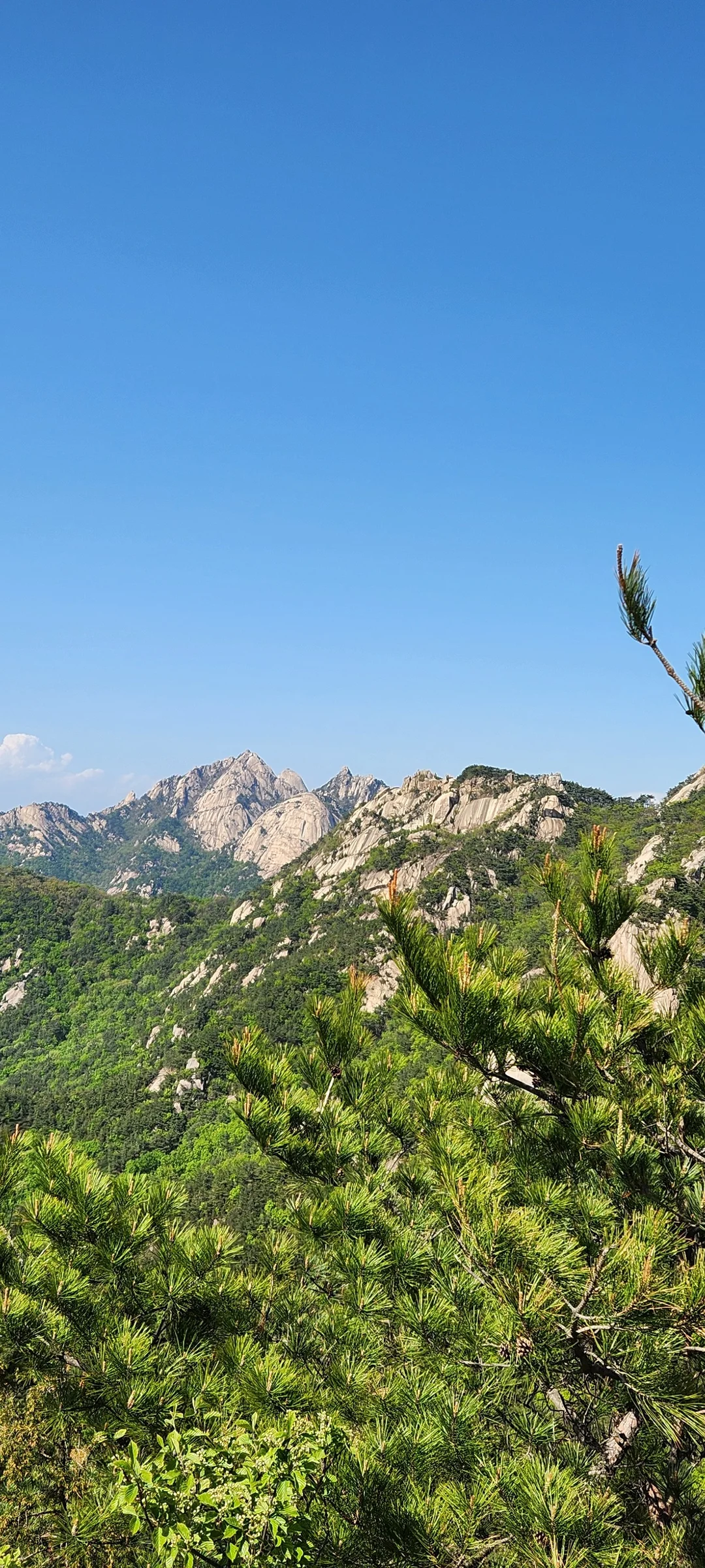 Set your phone against the majestic backdrop of Korea's mountain ranges. The Korean peninsula is nearly 70% mountainous, and these wallpapers celebrate that dramatic terrain — jagged granite peaks rising above the clouds, ancient fortress walls tracing ridgelines, and forest trails disappearing into autumn-colored valleys.

From the iconic rocky summits of Bukhansan in Seoul to the remote alpine meadows of Seoraksan, each image captures the scale and serenity of Korean mountain landscapes across all four seasons. Snow-dusted winter peaks, spring azalea blooms on hillsides, summer greenery, and fiery fall foliage are all here. Free download these aesthetic mountain wallpapers and carry Korea's highland grandeur in your pocket., 통천문, Pyeongchang-dong, Seoul — Free Korean aesthetic wallpaper
