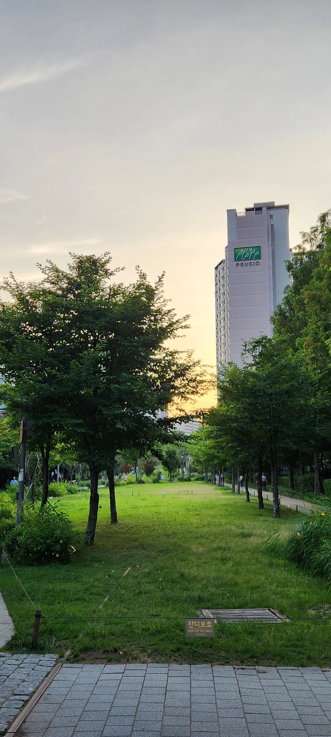 Transform your phone with the inviting green spaces of Korea's parks and gardens. From the sprawling lawns of Olympic Park in Seoul to the meticulously landscaped botanical gardens of the southern coast, these wallpapers capture the beauty of Korea's curated natural spaces — blooming flower beds, reflective lotus ponds, tree-lined promenades, and autumn foliage canopies.

Korean parks are designed for contemplation, and it shows in every image: stone pathways curving around still water, wooden pavilions framed by seasonal color, cherry-blossom tunnels creating pink corridors, and wide meadows where families gather under open skies. Free download these aesthetic park wallpapers and give your phone background the refreshing energy of a Korean garden escape., Baekbeom-ro, Hyochang-dong, Seoul — Free Korean aesthetic wallpaper