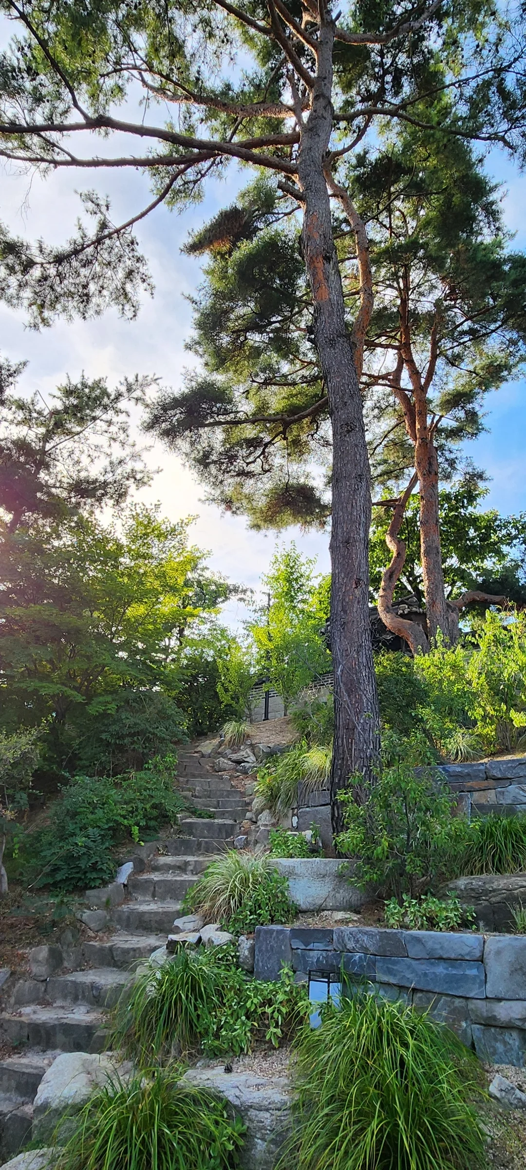 Adorn your phone with the timeless elegance of hanok, Korea's traditional wooden houses. These wallpapers showcase the graceful curved rooflines, hand-carved wooden lattice doors, and serene inner courtyards that have defined Korean residential architecture for centuries. Preserved hanok villages in Bukchon and Jeonju offer a living window into Korea's past.

Each image reveals the quiet beauty of these heritage homes — clay walls weathered to warm earth tones, dark timber frames contrasting with paper-screened windows, stone foundations meeting manicured courtyard gardens, and traditional eaves silhouetted against modern skylines. Download these free hanok wallpapers for an aesthetic phone background that celebrates the harmony between Korean tradition and contemporary life., Jeongneung-ro 9ga-gil, Jeongneung 3(sam)-dong, Seoul — Free Korean aesthetic wallpaper