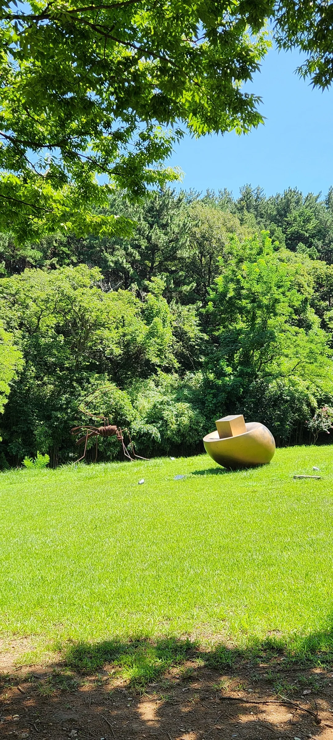 Transform your phone with the inviting green spaces of Korea's parks and gardens. From the sprawling lawns of Olympic Park in Seoul to the meticulously landscaped botanical gardens of the southern coast, these wallpapers capture the beauty of Korea's curated natural spaces — blooming flower beds, reflective lotus ponds, tree-lined promenades, and autumn foliage canopies.

Korean parks are designed for contemplation, and it shows in every image: stone pathways curving around still water, wooden pavilions framed by seasonal color, cherry-blossom tunnels creating pink corridors, and wide meadows where families gather under open skies. Free download these aesthetic park wallpapers and give your phone background the refreshing energy of a Korean garden escape., Hwanhogongwon-gil, Hwanyeo-dong, Pohang-si — Free Korean aesthetic wallpaper