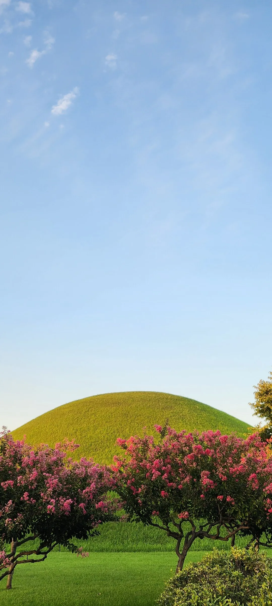 Transform your phone with the inviting green spaces of Korea's parks and gardens. From the sprawling lawns of Olympic Park in Seoul to the meticulously landscaped botanical gardens of the southern coast, these wallpapers capture the beauty of Korea's curated natural spaces — blooming flower beds, reflective lotus ponds, tree-lined promenades, and autumn foliage canopies.

Korean parks are designed for contemplation, and it shows in every image: stone pathways curving around still water, wooden pavilions framed by seasonal color, cherry-blossom tunnels creating pink corridors, and wide meadows where families gather under open skies. Free download these aesthetic park wallpapers and give your phone background the refreshing energy of a Korean garden escape., Poseok-ro 1092beon-gil, Sajeong-dong, Gyeongju-si — Free Korean aesthetic wallpaper