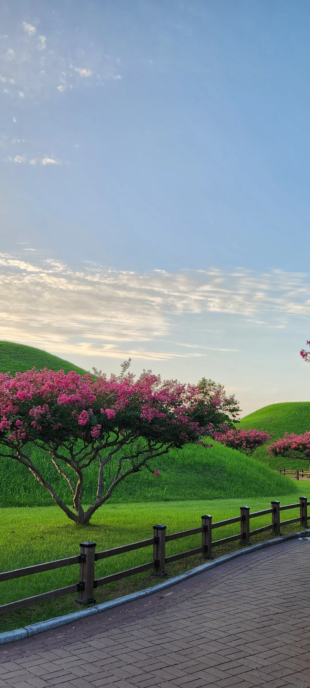 Transform your phone with the inviting green spaces of Korea's parks and gardens. From the sprawling lawns of Olympic Park in Seoul to the meticulously landscaped botanical gardens of the southern coast, these wallpapers capture the beauty of Korea's curated natural spaces — blooming flower beds, reflective lotus ponds, tree-lined promenades, and autumn foliage canopies.

Korean parks are designed for contemplation, and it shows in every image: stone pathways curving around still water, wooden pavilions framed by seasonal color, cherry-blossom tunnels creating pink corridors, and wide meadows where families gather under open skies. Free download these aesthetic park wallpapers and give your phone background the refreshing energy of a Korean garden escape., Gyerim-ro, Hwangnam-dong, Gyeongju-si — Free Korean aesthetic wallpaper