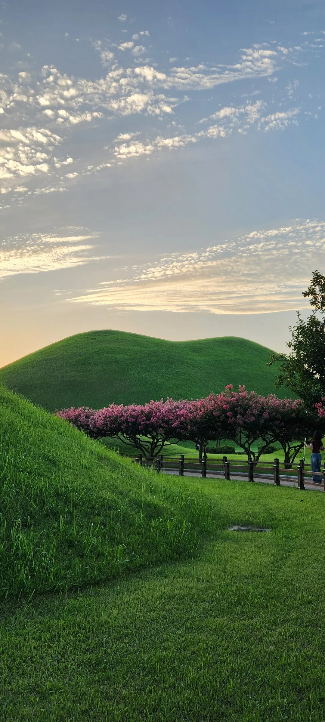 Transform your phone with the inviting green spaces of Korea's parks and gardens. From the sprawling lawns of Olympic Park in Seoul to the meticulously landscaped botanical gardens of the southern coast, these wallpapers capture the beauty of Korea's curated natural spaces — blooming flower beds, reflective lotus ponds, tree-lined promenades, and autumn foliage canopies.

Korean parks are designed for contemplation, and it shows in every image: stone pathways curving around still water, wooden pavilions framed by seasonal color, cherry-blossom tunnels creating pink corridors, and wide meadows where families gather under open skies. Free download these aesthetic park wallpapers and give your phone background the refreshing energy of a Korean garden escape., Gyerim-ro, Hwangnam-dong, Gyeongju-si — Free Korean aesthetic wallpaper