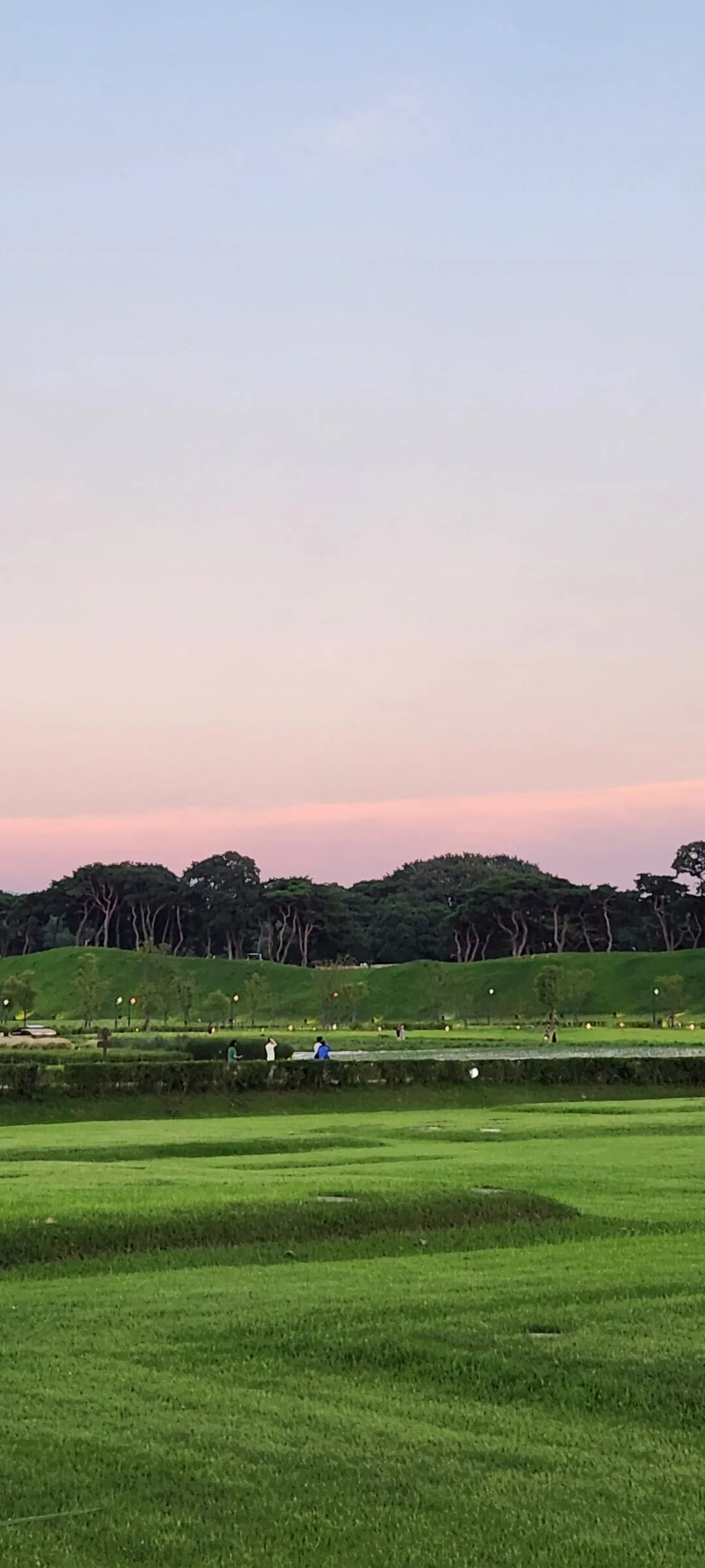 Transform your phone with the inviting green spaces of Korea's parks and gardens. From the sprawling lawns of Olympic Park in Seoul to the meticulously landscaped botanical gardens of the southern coast, these wallpapers capture the beauty of Korea's curated natural spaces — blooming flower beds, reflective lotus ponds, tree-lined promenades, and autumn foliage canopies.

Korean parks are designed for contemplation, and it shows in every image: stone pathways curving around still water, wooden pavilions framed by seasonal color, cherry-blossom tunnels creating pink corridors, and wide meadows where families gather under open skies. Free download these aesthetic park wallpapers and give your phone background the refreshing energy of a Korean garden escape., Cheomseong-ro, Hwangnam-dong, Wolseong-dong, Gyeongju-si — Free Korean aesthetic wallpaper