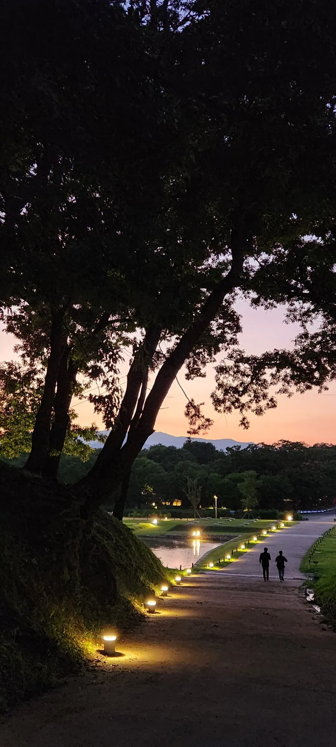 Transform your phone with the inviting green spaces of Korea's parks and gardens. From the sprawling lawns of Olympic Park in Seoul to the meticulously landscaped botanical gardens of the southern coast, these wallpapers capture the beauty of Korea's curated natural spaces — blooming flower beds, reflective lotus ponds, tree-lined promenades, and autumn foliage canopies.

Korean parks are designed for contemplation, and it shows in every image: stone pathways curving around still water, wooden pavilions framed by seasonal color, cherry-blossom tunnels creating pink corridors, and wide meadows where families gather under open skies. Free download these aesthetic park wallpapers and give your phone background the refreshing energy of a Korean garden escape., Inwang-dong, Wolseong-dong, Gyeongju-si — Free Korean aesthetic wallpaper