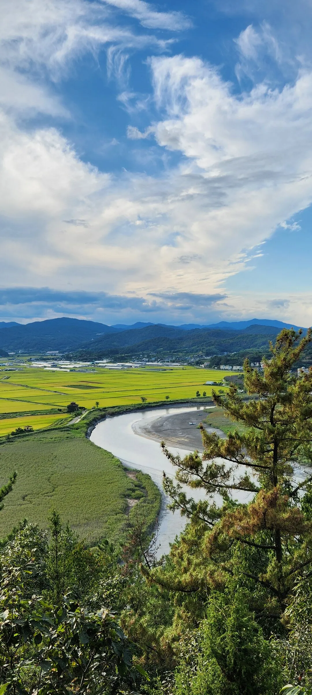 Immerse your screen in the untouched beauty of Korea's natural world. These Korean wallpapers feature sweeping countryside fields blanketed in green, hidden valleys where morning mist clings to the hillsides, and winding streams cutting through rocky terrain. Each photo captures the raw, peaceful energy that makes Korea's landscapes so distinctive.

From the volcanic plains of Jeju Island to the lush wetlands of Suncheon Bay, this collection showcases nature in every mood — dramatic storm clouds rolling over ridgelines, golden sunlight filtering through canopy gaps, and wildflower meadows stretching toward distant peaks. Download these aesthetic phone backgrounds for free and bring a moment of Korean tranquility to your daily life., Suncheon-si — Free Korean aesthetic wallpaper