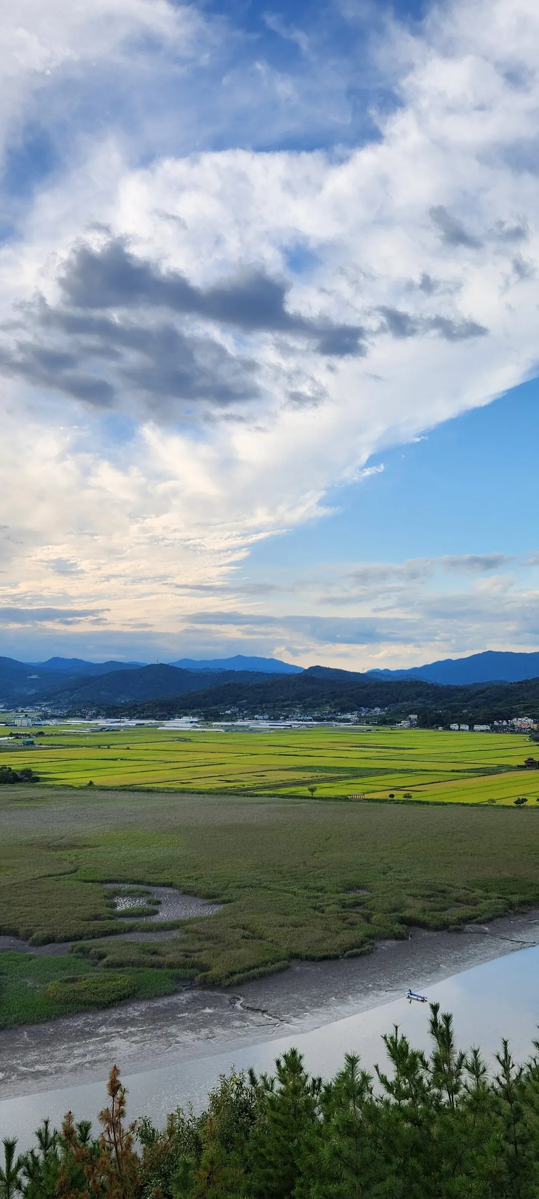 Immerse your screen in the untouched beauty of Korea's natural world. These Korean wallpapers feature sweeping countryside fields blanketed in green, hidden valleys where morning mist clings to the hillsides, and winding streams cutting through rocky terrain. Each photo captures the raw, peaceful energy that makes Korea's landscapes so distinctive.

From the volcanic plains of Jeju Island to the lush wetlands of Suncheon Bay, this collection showcases nature in every mood — dramatic storm clouds rolling over ridgelines, golden sunlight filtering through canopy gaps, and wildflower meadows stretching toward distant peaks. Download these aesthetic phone backgrounds for free and bring a moment of Korean tranquility to your daily life., Suncheon-si — Free Korean aesthetic wallpaper