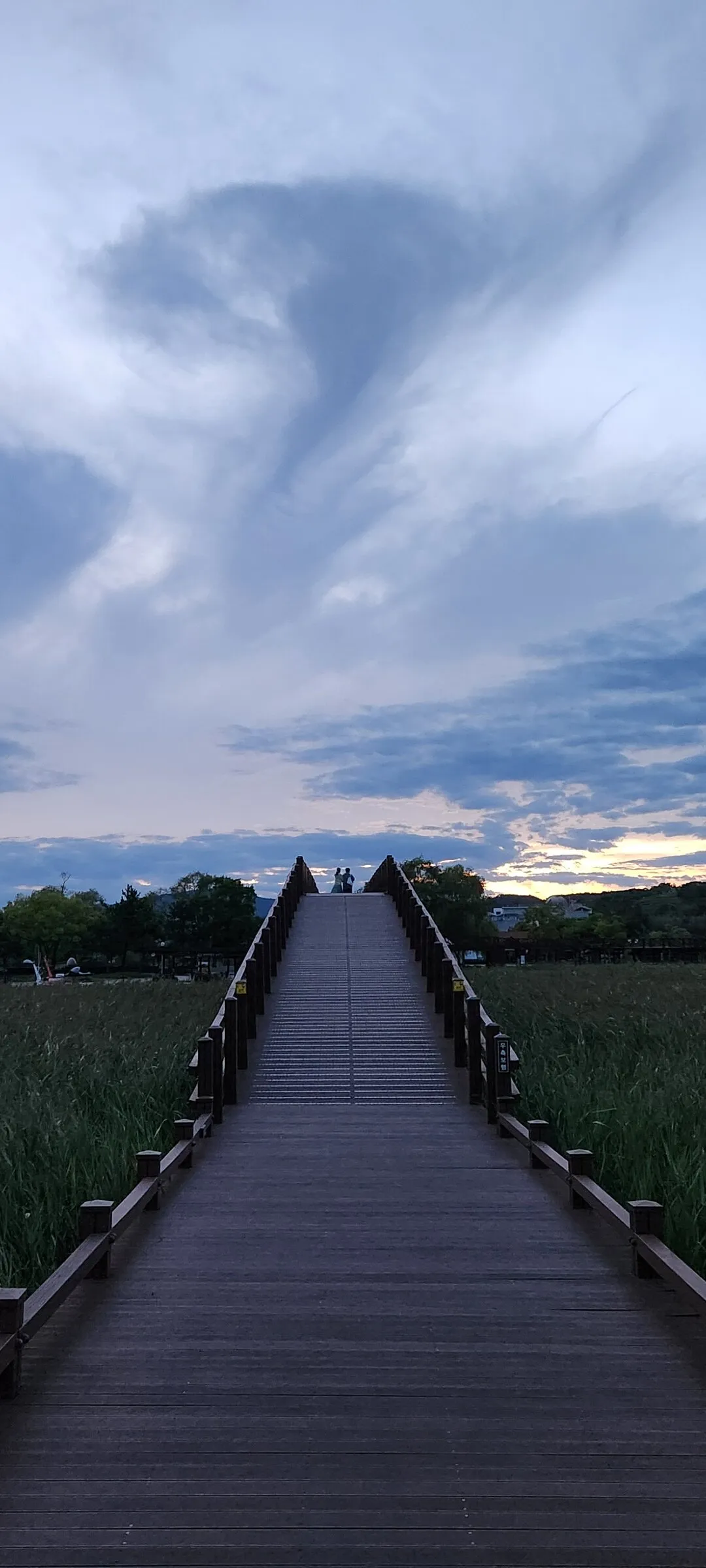 Immerse your screen in the untouched beauty of Korea's natural world. These Korean wallpapers feature sweeping countryside fields blanketed in green, hidden valleys where morning mist clings to the hillsides, and winding streams cutting through rocky terrain. Each photo captures the raw, peaceful energy that makes Korea's landscapes so distinctive.

From the volcanic plains of Jeju Island to the lush wetlands of Suncheon Bay, this collection showcases nature in every mood — dramatic storm clouds rolling over ridgelines, golden sunlight filtering through canopy gaps, and wildflower meadows stretching toward distant peaks. Download these aesthetic phone backgrounds for free and bring a moment of Korean tranquility to your daily life., Seonhak-ri, Daedae-dong, Suncheon-si — Free Korean aesthetic wallpaper