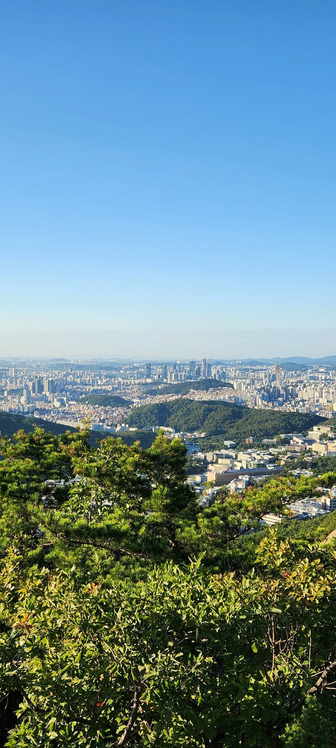 Immerse your screen in the untouched beauty of Korea's natural world. These Korean wallpapers feature sweeping countryside fields blanketed in green, hidden valleys where morning mist clings to the hillsides, and winding streams cutting through rocky terrain. Each photo captures the raw, peaceful energy that makes Korea's landscapes so distinctive.

From the volcanic plains of Jeju Island to the lush wetlands of Suncheon Bay, this collection showcases nature in every mood — dramatic storm clouds rolling over ridgelines, golden sunlight filtering through canopy gaps, and wildflower meadows stretching toward distant peaks. Download these aesthetic phone backgrounds for free and bring a moment of Korean tranquility to your daily life., Daehak-dong, Seoul — Free Korean aesthetic wallpaper