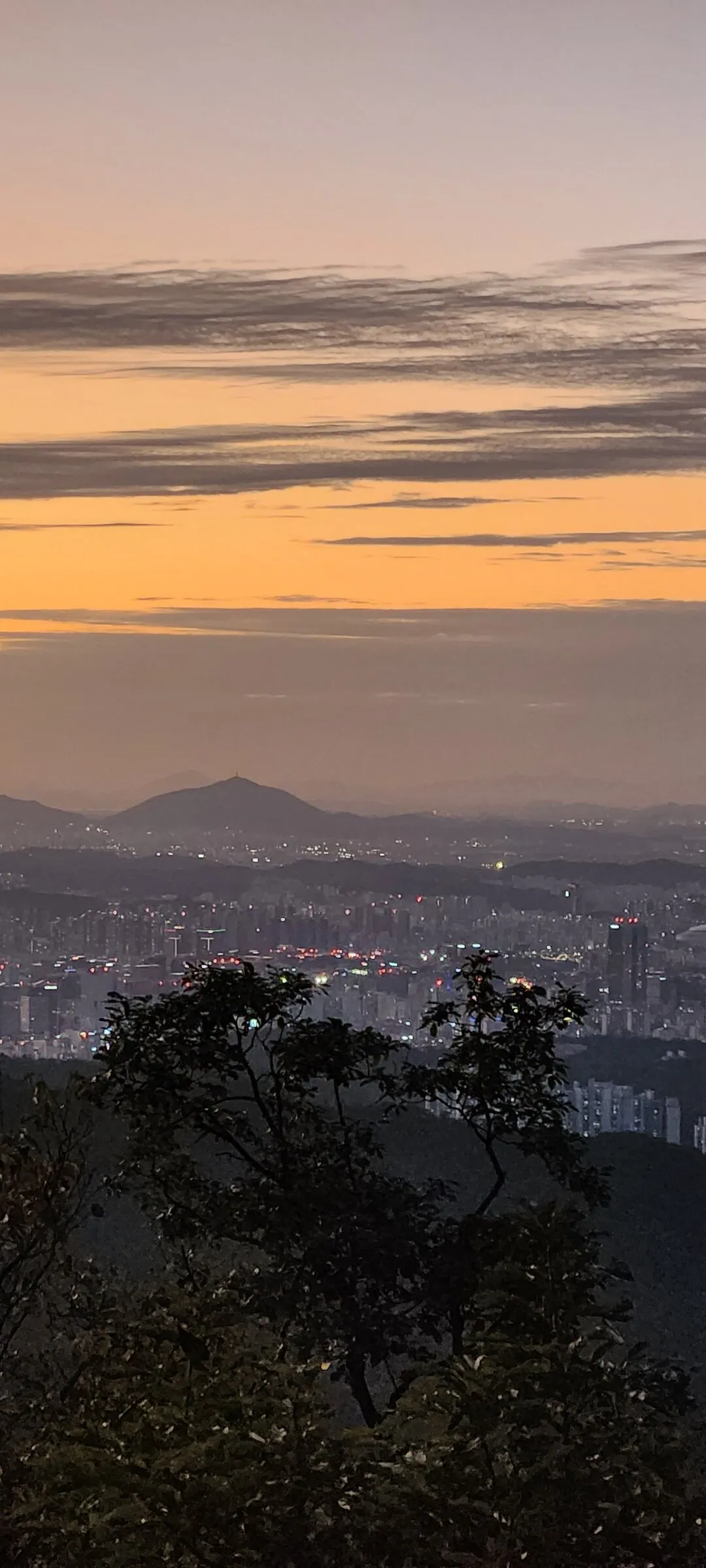 Immerse your screen in the untouched beauty of Korea's natural world. These Korean wallpapers feature sweeping countryside fields blanketed in green, hidden valleys where morning mist clings to the hillsides, and winding streams cutting through rocky terrain. Each photo captures the raw, peaceful energy that makes Korea's landscapes so distinctive.

From the volcanic plains of Jeju Island to the lush wetlands of Suncheon Bay, this collection showcases nature in every mood — dramatic storm clouds rolling over ridgelines, golden sunlight filtering through canopy gaps, and wildflower meadows stretching toward distant peaks. Download these aesthetic phone backgrounds for free and bring a moment of Korean tranquility to your daily life., Daehak-dong, Seoul — Free Korean aesthetic wallpaper