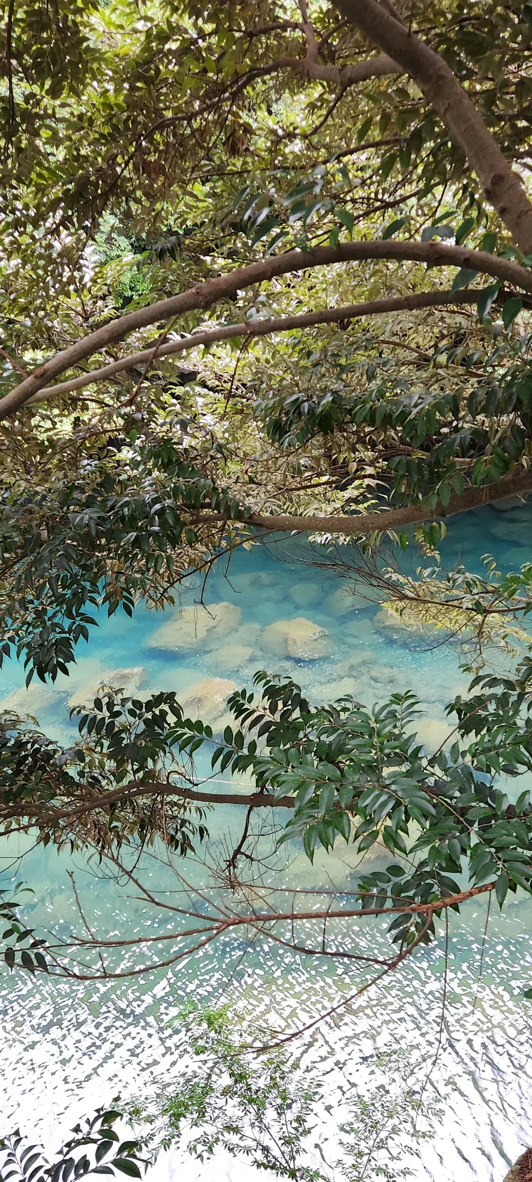 Immerse your screen in the untouched beauty of Korea's natural world. These Korean wallpapers feature sweeping countryside fields blanketed in green, hidden valleys where morning mist clings to the hillsides, and winding streams cutting through rocky terrain. Each photo captures the raw, peaceful energy that makes Korea's landscapes so distinctive.

From the volcanic plains of Jeju Island to the lush wetlands of Suncheon Bay, this collection showcases nature in every mood — dramatic storm clouds rolling over ridgelines, golden sunlight filtering through canopy gaps, and wildflower meadows stretching toward distant peaks. Download these aesthetic phone backgrounds for free and bring a moment of Korean tranquility to your daily life., 쇠소깍로, Hahyo-dong, Hyodon-dong, Seogwipo-si — Free Korean aesthetic wallpaper