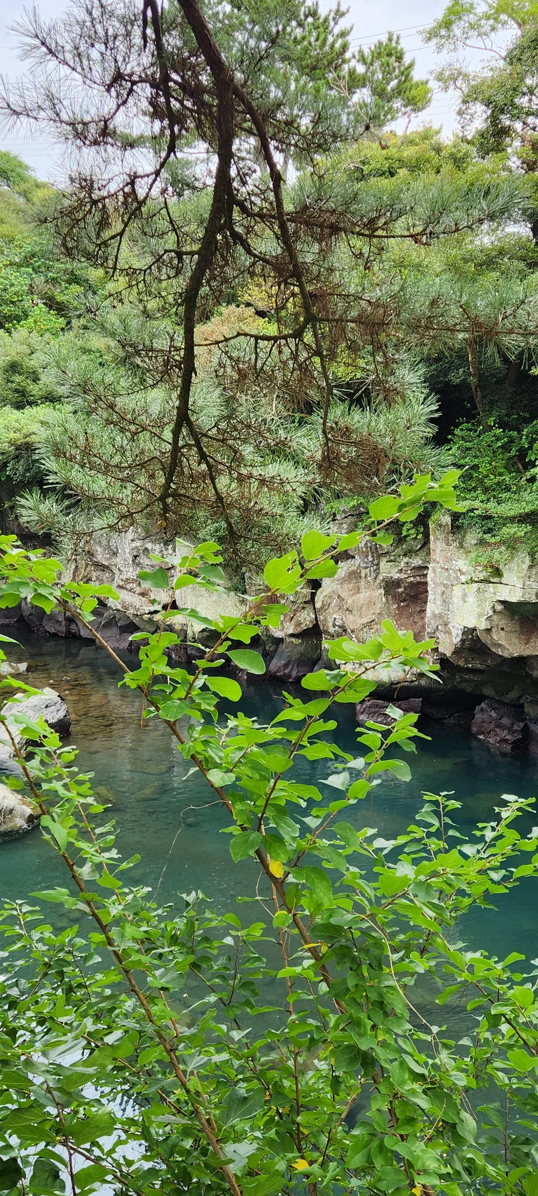 Immerse your screen in the untouched beauty of Korea's natural world. These Korean wallpapers feature sweeping countryside fields blanketed in green, hidden valleys where morning mist clings to the hillsides, and winding streams cutting through rocky terrain. Each photo captures the raw, peaceful energy that makes Korea's landscapes so distinctive.

From the volcanic plains of Jeju Island to the lush wetlands of Suncheon Bay, this collection showcases nature in every mood — dramatic storm clouds rolling over ridgelines, golden sunlight filtering through canopy gaps, and wildflower meadows stretching toward distant peaks. Download these aesthetic phone backgrounds for free and bring a moment of Korean tranquility to your daily life., 쇠소깍로, Hahyo-dong, Hyodon-dong, Seogwipo-si — Free Korean aesthetic wallpaper