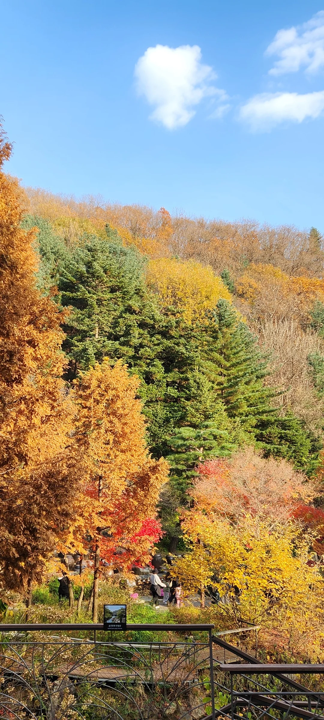 Immerse your screen in the untouched beauty of Korea's natural world. These Korean wallpapers feature sweeping countryside fields blanketed in green, hidden valleys where morning mist clings to the hillsides, and winding streams cutting through rocky terrain. Each photo captures the raw, peaceful energy that makes Korea's landscapes so distinctive.

From the volcanic plains of Jeju Island to the lush wetlands of Suncheon Bay, this collection showcases nature in every mood — dramatic storm clouds rolling over ridgelines, golden sunlight filtering through canopy gaps, and wildflower meadows stretching toward distant peaks. Download these aesthetic phone backgrounds for free and bring a moment of Korean tranquility to your daily life., Gwangju-si, Gyeonggi-do — Free Korean aesthetic wallpaper