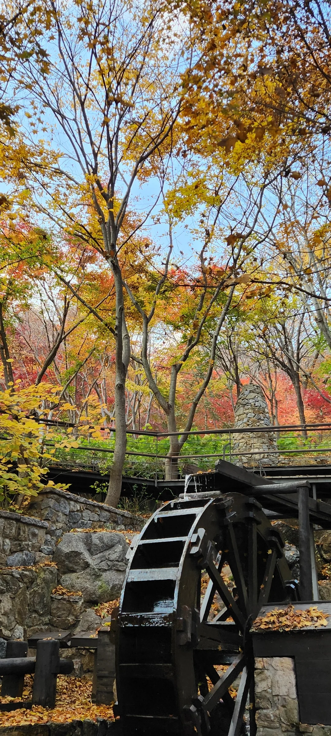 Immerse your screen in the untouched beauty of Korea's natural world. These Korean wallpapers feature sweeping countryside fields blanketed in green, hidden valleys where morning mist clings to the hillsides, and winding streams cutting through rocky terrain. Each photo captures the raw, peaceful energy that makes Korea's landscapes so distinctive.

From the volcanic plains of Jeju Island to the lush wetlands of Suncheon Bay, this collection showcases nature in every mood — dramatic storm clouds rolling over ridgelines, golden sunlight filtering through canopy gaps, and wildflower meadows stretching toward distant peaks. Download these aesthetic phone backgrounds for free and bring a moment of Korean tranquility to your daily life., Gwangju-si, Gyeonggi-do — Free Korean aesthetic wallpaper