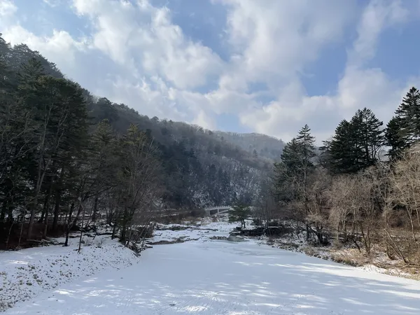 Korean forest & mountain & nature & river & snow aesthetic wallpaper for phone