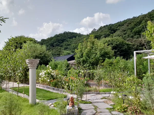 Korean Nature & Mountains & Trails & Flowers aesthetic wallpaper for phone