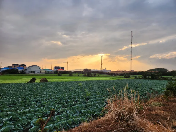 Korean nature & sunset aesthetic wallpaper for phone