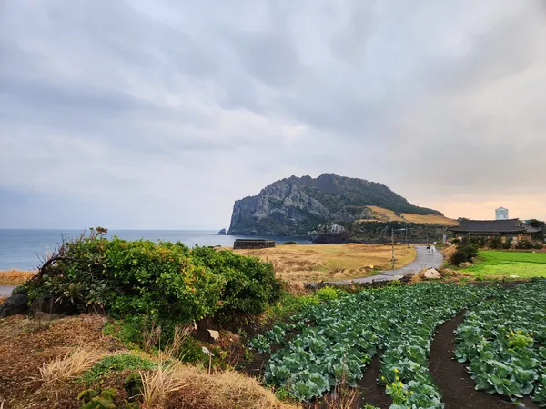 Korean sea & mountain & nature aesthetic wallpaper for phone