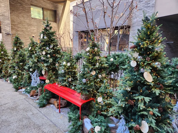 Korean cafe-culture & street & aesthetic aesthetic wallpaper for phone