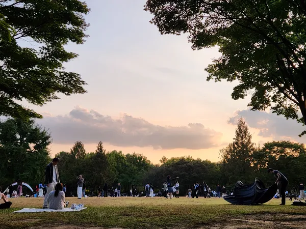 Korean park & sunset & nature aesthetic wallpaper for phone