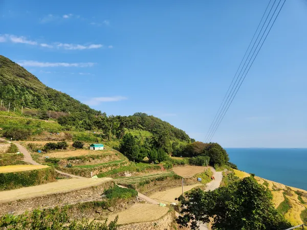 Korean nature & mountain & forest aesthetic wallpaper for phone