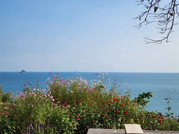 Korean sea & flower & nature aesthetic wallpaper for phone