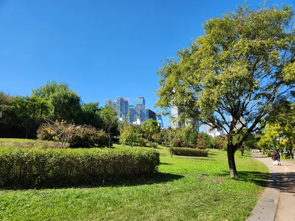 Korean park & architecture & nature aesthetic wallpaper for phone