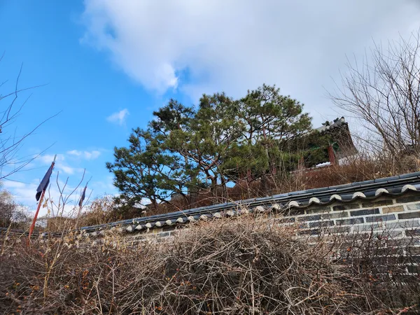 Korean nature & hanok & forest aesthetic wallpaper for phone