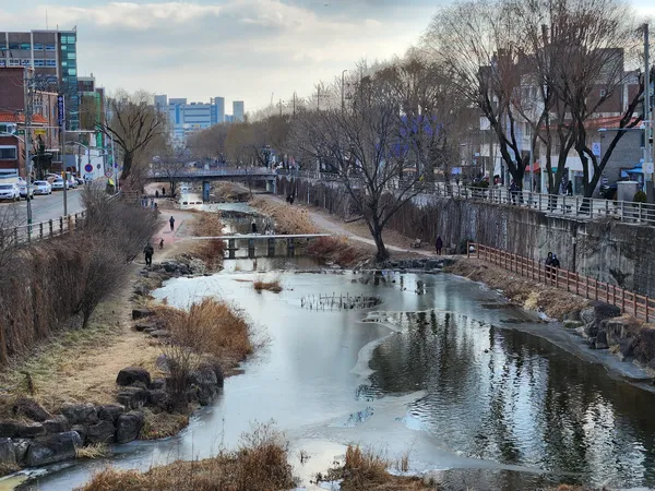 Korean river & nature & park aesthetic wallpaper for phone