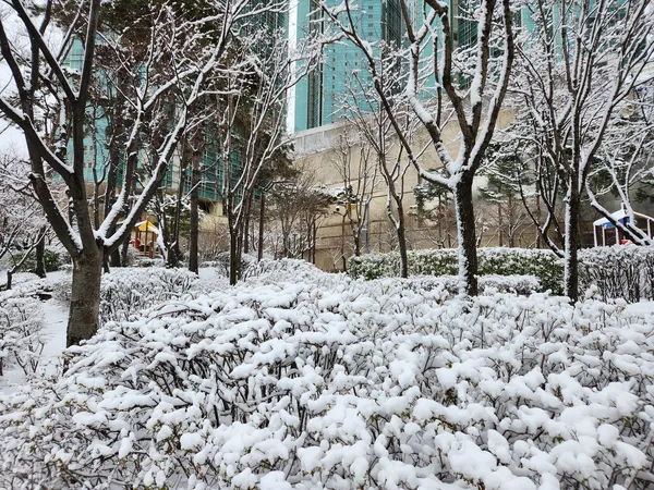 Korean nature & snow & architecture aesthetic wallpaper for phone