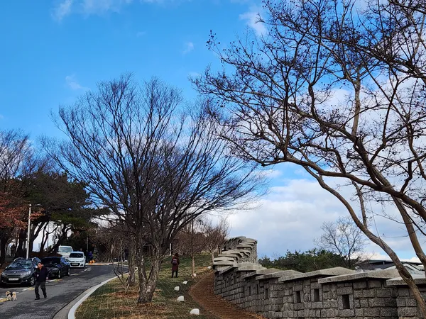 Korean architecture & mountain & nature aesthetic wallpaper for phone