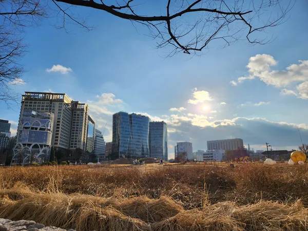 Korean architecture & park aesthetic wallpaper for phone