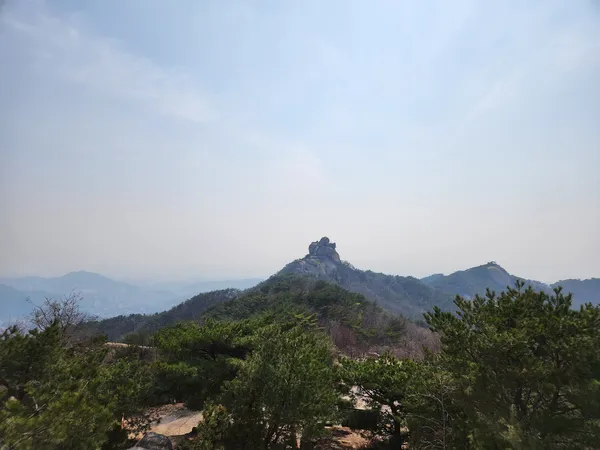 Korean mountain & nature & forest aesthetic wallpaper for phone