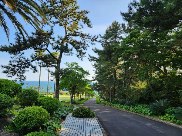 Korean nature & park & forest & aesthetic aesthetic wallpaper for phone