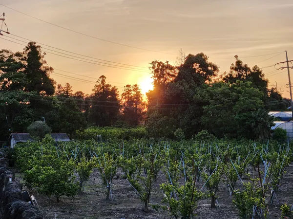 Korean nature & sunset & aesthetic aesthetic wallpaper for phone