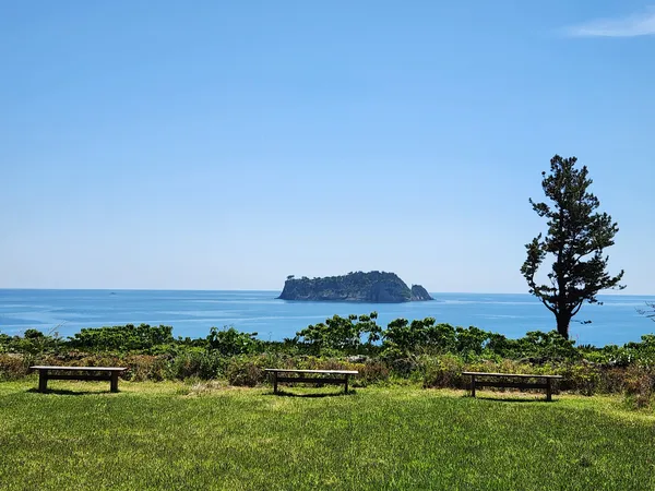 Korean nature & sea & park & aesthetic aesthetic wallpaper for phone