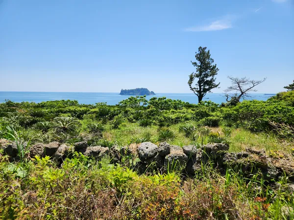 Korean nature & sea & forest aesthetic wallpaper for phone