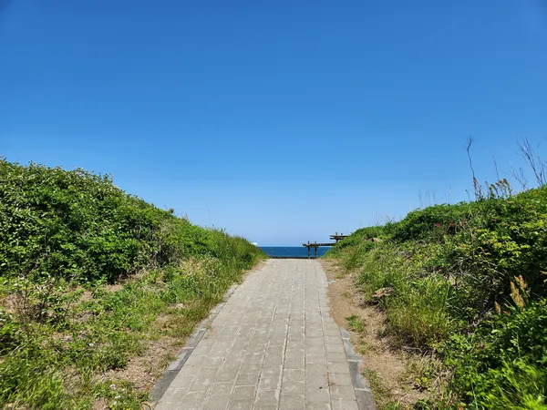 Korean nature & sea & aesthetic aesthetic wallpaper for phone