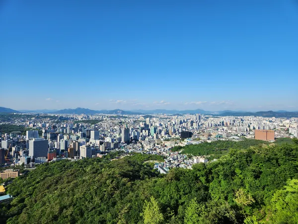 Korean architecture & nature & forest & mountain aesthetic wallpaper for phone