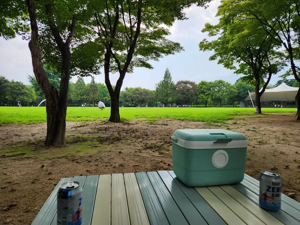 Korean park & nature & forest aesthetic wallpaper for phone