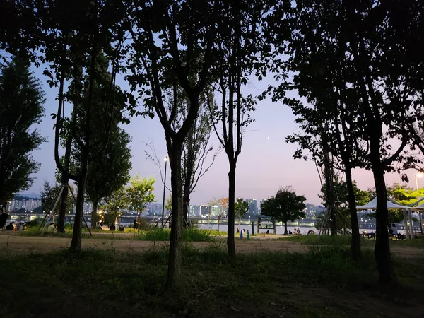 Korean nature & river & park & sunset aesthetic wallpaper for phone